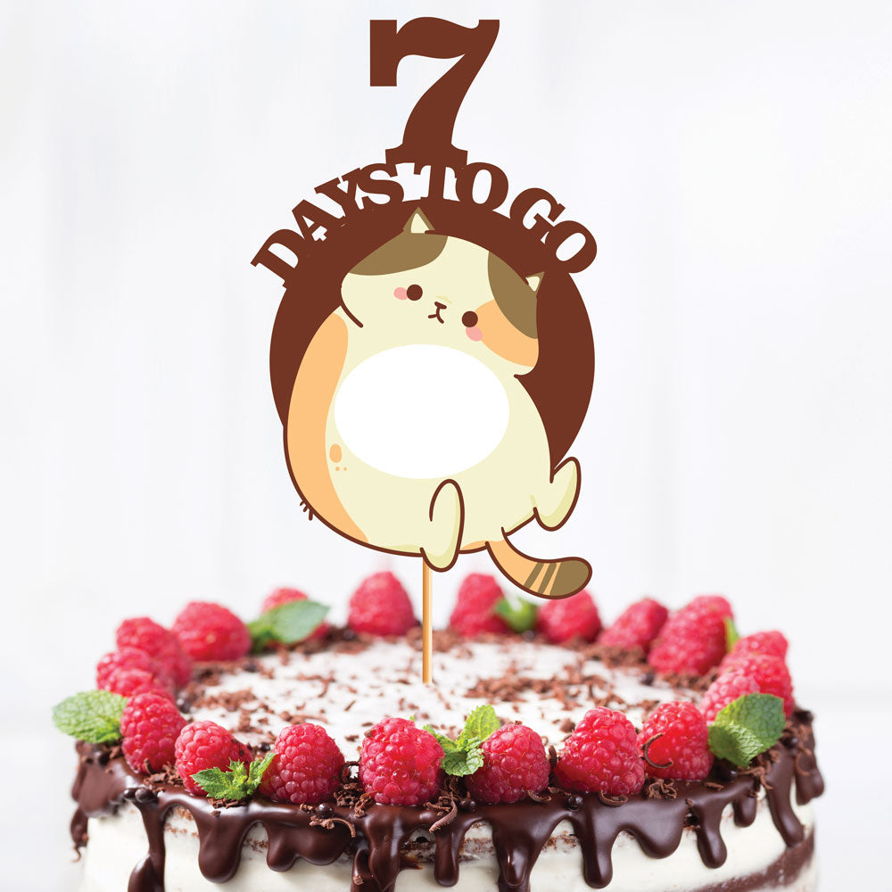 Cute Cat Countdown Props of 1-10 Days To Go